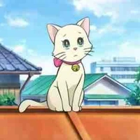 Mimi