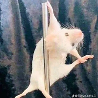 Ninii☆ (tác giả á bây)