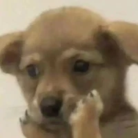 All