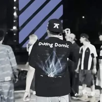 dương domic
