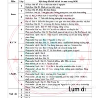 nhân vật phụ