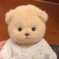 Gấu con của Ninh Dương