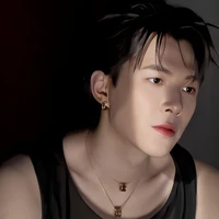 Bùi Anh Tù