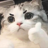 Tác giả siu cấp chuche🤡