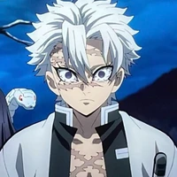 Shinazugawa Sanemi