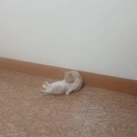 All trừ ai thì trừ