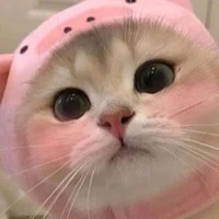 Bạn T/G T.Mi