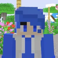 Huy noob