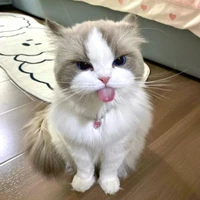 Tiểu Bạch / Hệ thống 008 /