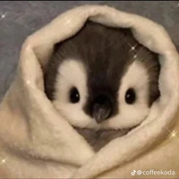 chim cánh cụt cute