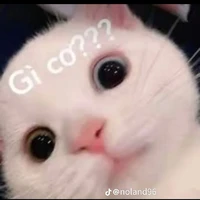cả lớp