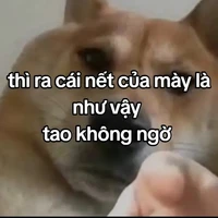 Tác giả ( TI NA )