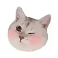 ？？？mẹ t/g