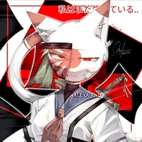 Nekomi Japan