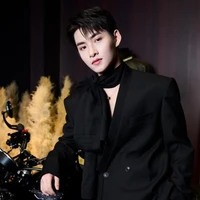 Huỳnh Hoàng Hùng ( Gemini )