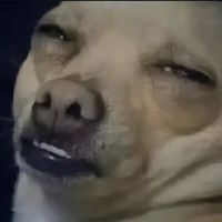 Cừu