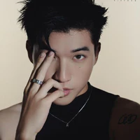 Trần Minh Hiếu (HieuThuHai)
