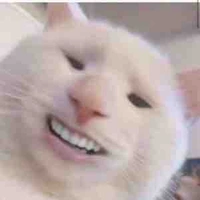 Tác giả thích lười