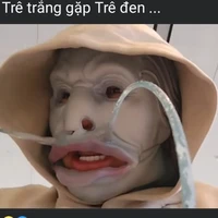 Tác giả mến thương