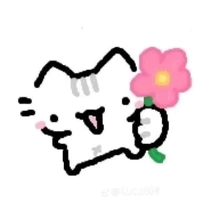 T/G