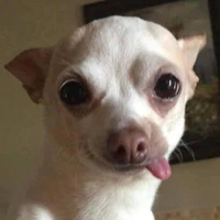 ？？？