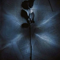 Chris - author