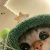T/g tẻn tẻn