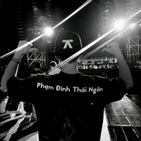 Phạm Đình Thái Ngân