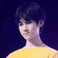 Trương Chân Nguyên 