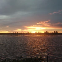 cả lớp