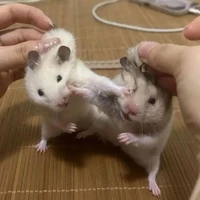 t/g
