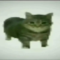 u i a chan