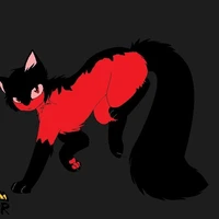Grinny cat