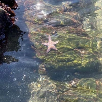 Tác giả nghiện Dương Kiều