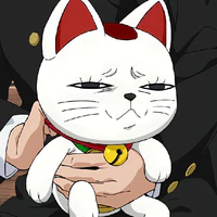 turbo grandma cat