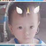 tác giả sịn sò bò con bò