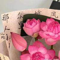 anh chị em Shimizu 