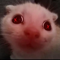 T/G