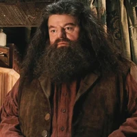 Rubeus Hagrid
