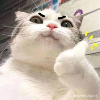 Sốp yêu của mấy bẹn