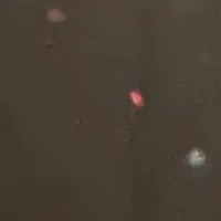 all