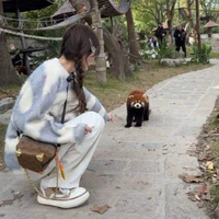 Châu Thi Vũ_nàng