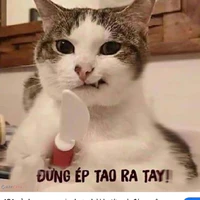 t/g là con báo