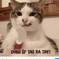 t/g là con báo