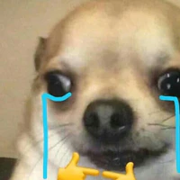 like đi:<