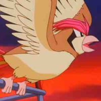 Pigeon(Krypton)