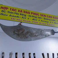 tác giả