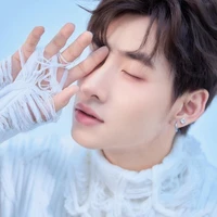 Gemini Hùng Huỳnh (Thái Tử vùng Gemini)