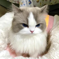 Yuun ( hệ thống )