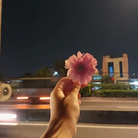 tác giả nè